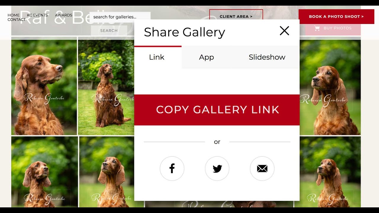 Reasons for secure photo sharing