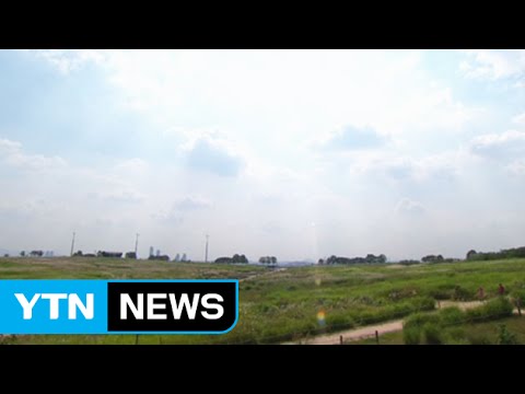 [날씨] 청명한 가을 하늘에 억새 장관...큰 일교차 / YTN