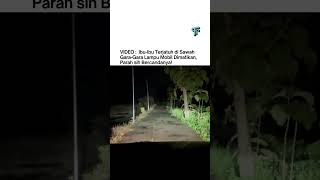 Ibu-Ibu Terjatuh di Sawah Gara-Gara Lampu Mobil Dimatikan, Parah sih Bercandanya!