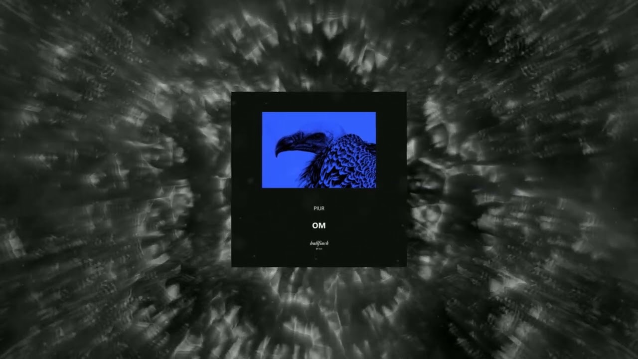 在 YouTube 上觀看「Piur - Enigma (Original Mix)」