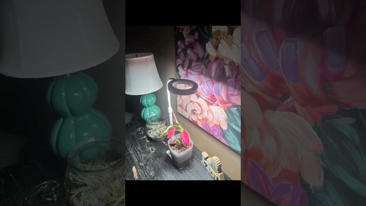 A grow light that’s actually smart? Yes please. 🌱✨ 