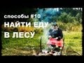 Галилео. Способы 10. Найти еду в лесу