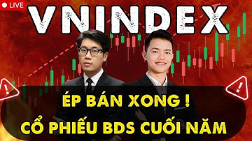 VNINDEX Hết Áp Lực Ép Bán – Cổ Phiếu Bất Động Sản Chuẩn Bị Tăng?