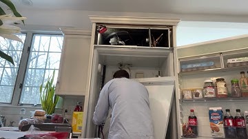 Rebuilding a Sub-Zero model 550 refrigerator