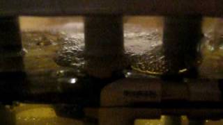 Flood and Drain Hydroponics