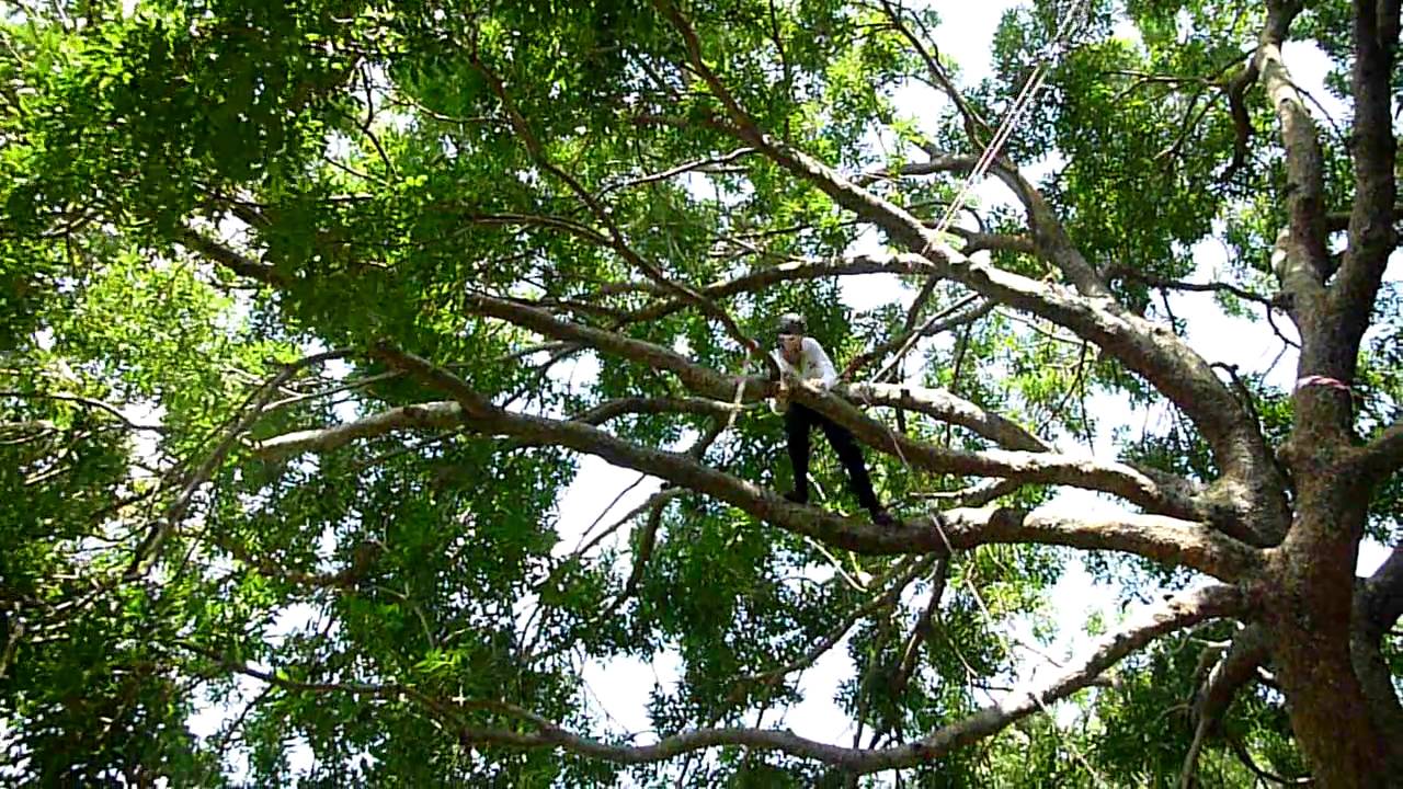 Jordan Glossop - STCC 2010 Belay Speed Climb