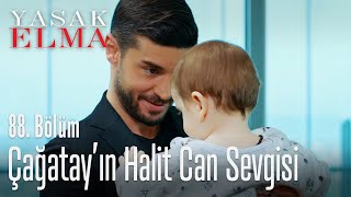 Çağatay'ın Halit Can sevgisi - Yasak Elma 88. Bölüm