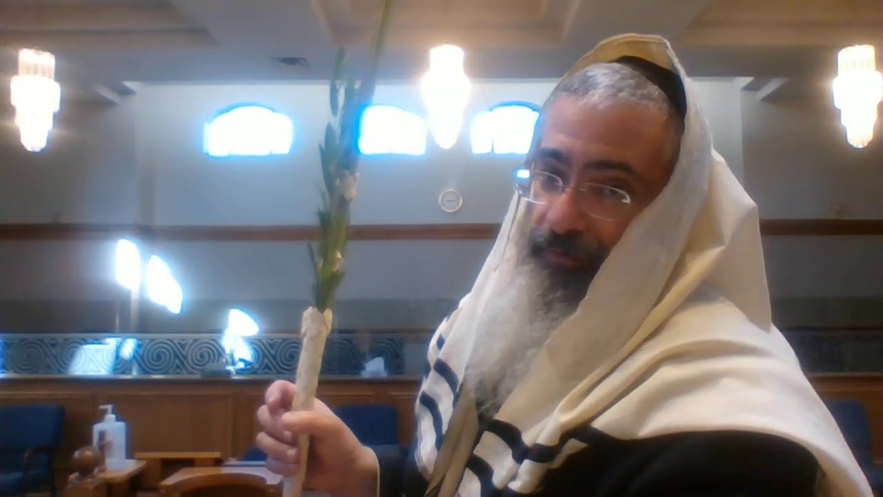 Lulav and Etrog How to