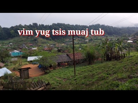 Video: Muab yug