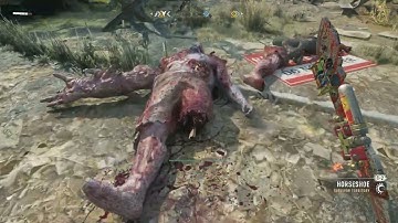 Dying Light 2 - Nightmare Playthrough - Part 19