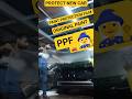 PPF Installation and Car Paint Protect Paint Protection Flim #ppf #car #paint #viral #youtube