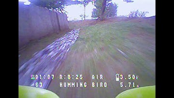 Hummingbird Brushless - Take you higher - Newbeedrone, it