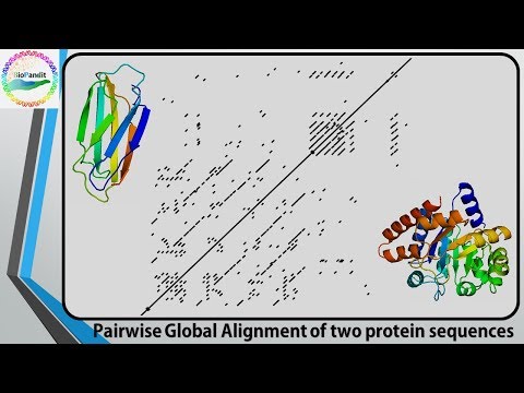Comparing two Sequences using Dot Plot