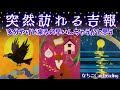 【タロット占い🔮】近々来そうなのよ🤩吉報が✨やったね❣️ルノルマンとタロットで占いました【笑いと癒しの占い】