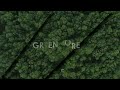ЗАСТАВКА GREEN FOREST | VEGAS PRO