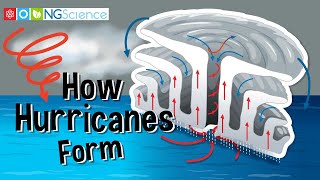 How Hurricanes Form
