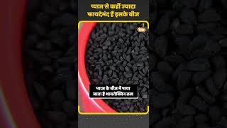 Onion Seed Benefits कय खस ह पयज क बज Kisan Tak