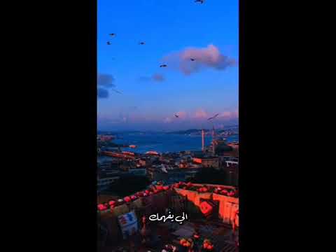 انته طيري وصعبه غيري الي يفهمك من احضنك