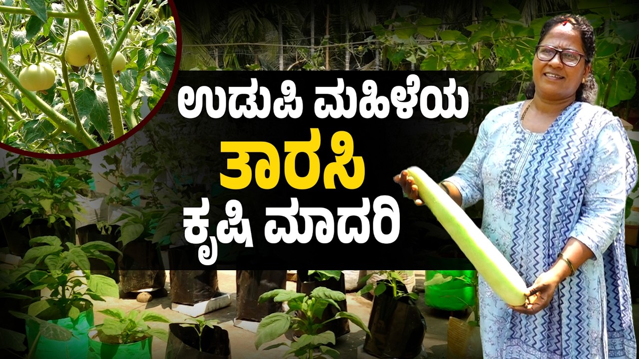 ತಾರಸಿಯಲ್ಲಿ ಮಿಶ್ರ ತರಕಾರಿ ಬೆಳೆದ ಸಾಧಕಿ | Organic Terrace Farming Success Story | Udayavani