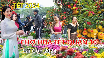 Rực rỡ chợ hoa tết Quận 10 Sài Gòn