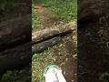 Не бывает взлётов без падения😅 #мотоспорт #enduro #эндуро