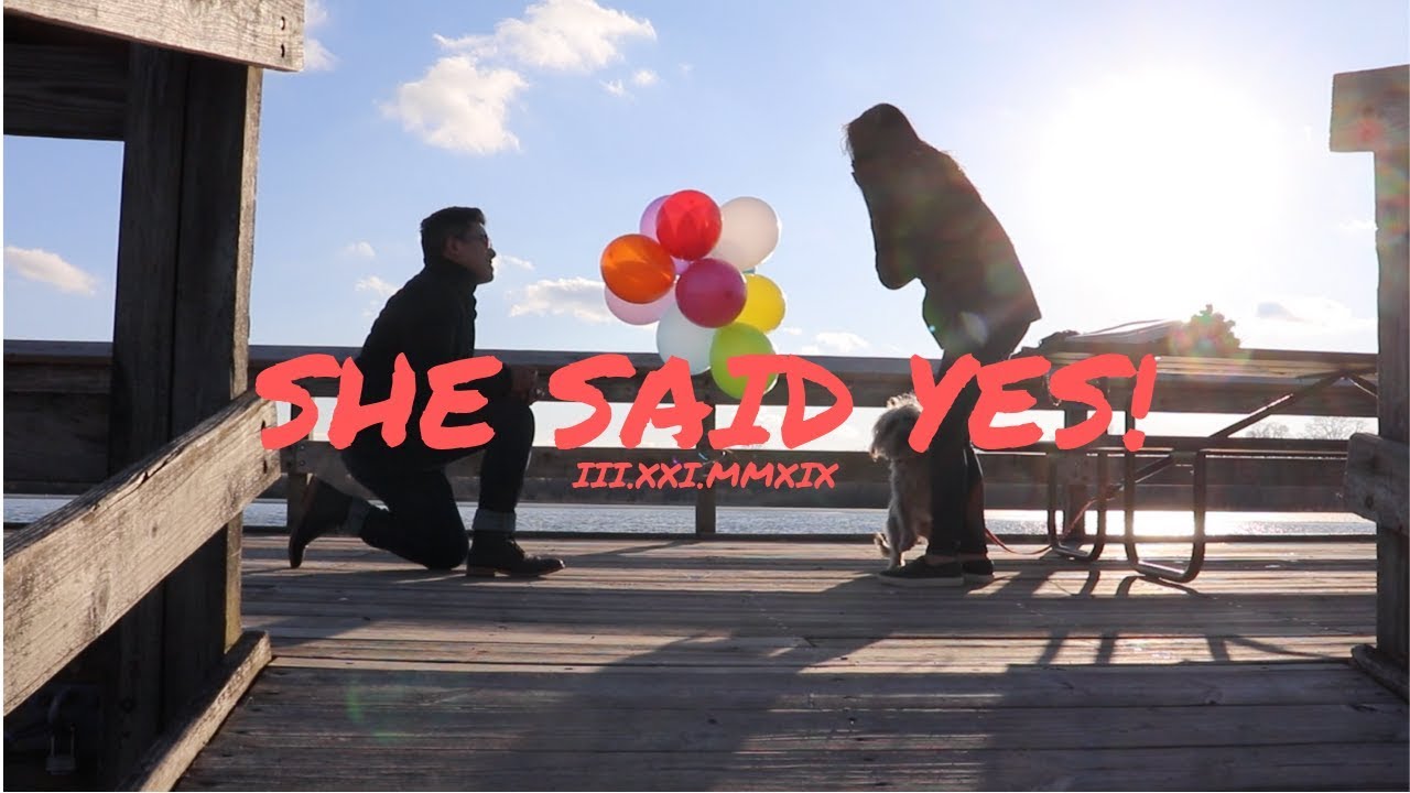 Disney-themed Marriage Proposal