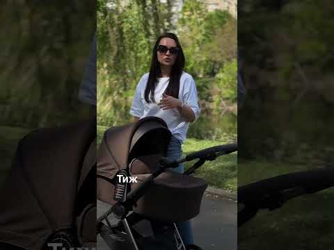 Універсальна коляска Anex IQ Premium, Smoky, видео 3