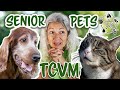 TCVM for Senior Pets 💚 Never Too Old for Holistic Care