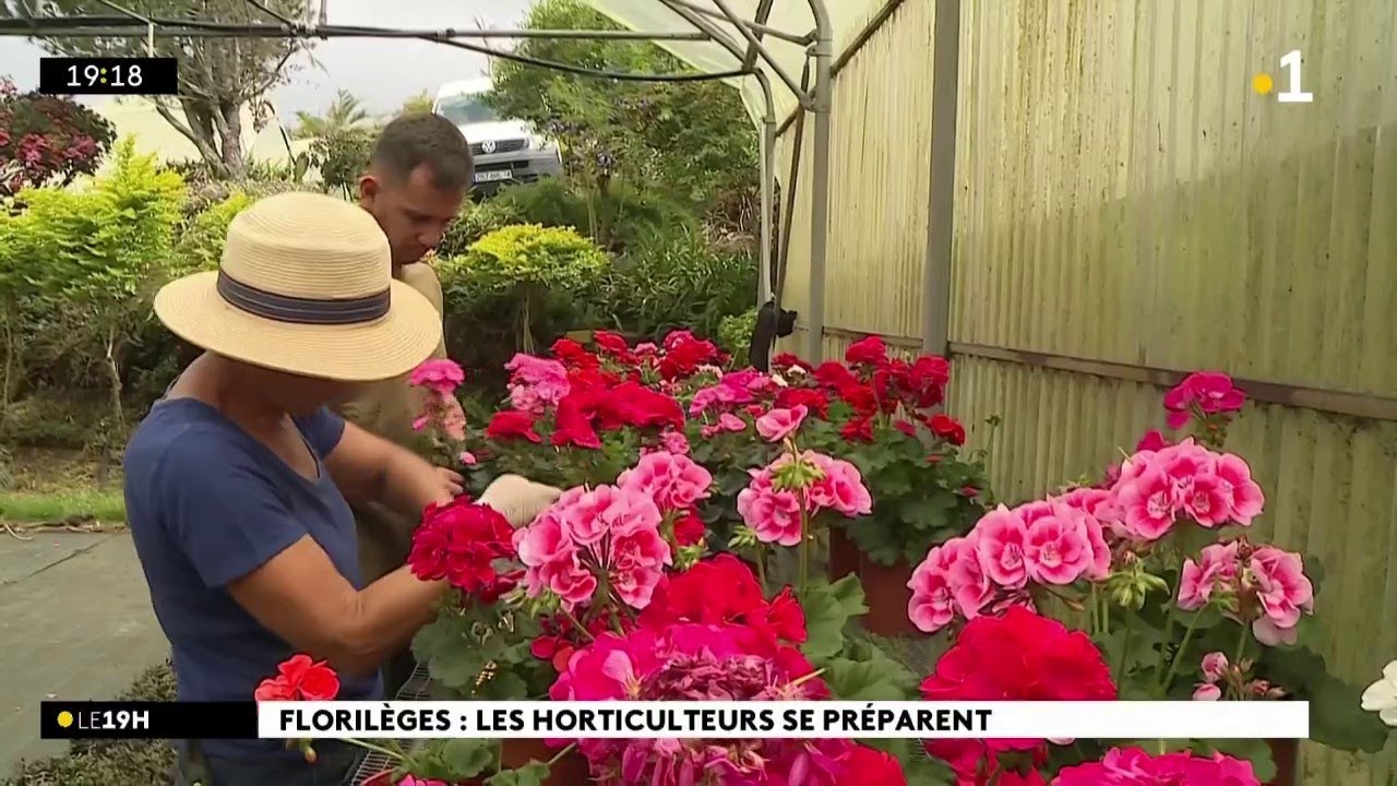 Les fleurs, c'est une véritable histoire de famille chez les Hannache.