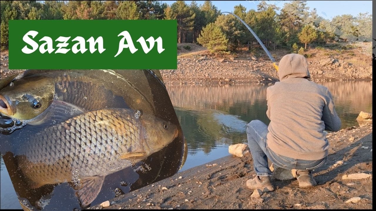 SAZAN AVI  CARP FISHING Göl Kamışıyla Sazan Avı Fishing With Float Rod
