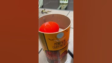 Shark Puppet Carves Pumpkin