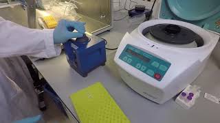 Real-time Sequencing @rossenlab