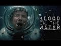 Stranger Things || Blood in the Water