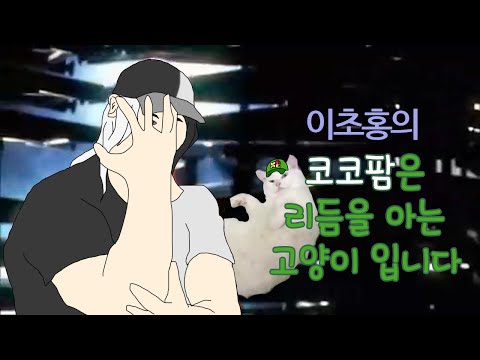 [일상] 이초홍의 코코팜은 리듬을 아는 고양이입니다