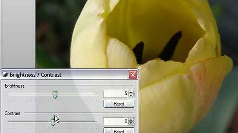 Adjust Brightness and Contrast in Paint.NET
