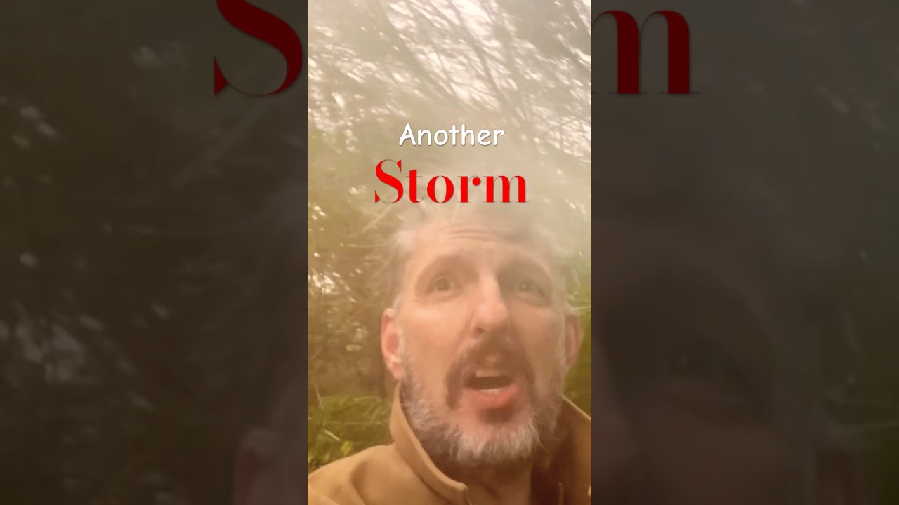 Another Storm -Storm Amy hits our Food forest 