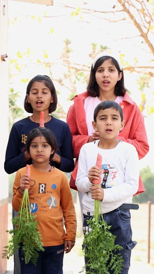 Carrot?? Challenge Or Bhai Behen #shorts #dance #viralvideo #trendingshorts