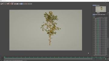 Tree Dynamics test with Speedtree and Cinema 4D - Part 1