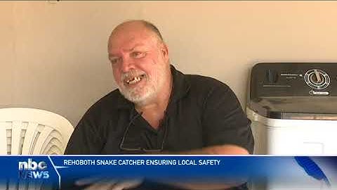 Rehoboth  Snake catcher insures local safety - nbc