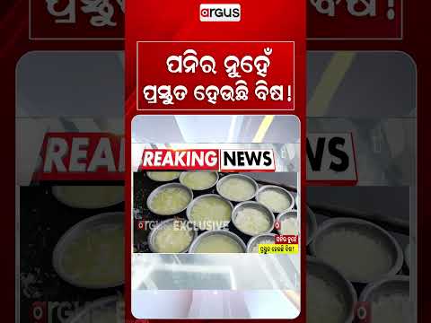 ପନିର ନୁହେଁ ପ୍ରସ୍ତୁତ ହେଉଛି ବିଷ !| Adulterated Chhena Racket Exposed In Balasore | Argus News