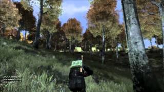 DayZ Standalone - What To Look Out For! - FPS TEST