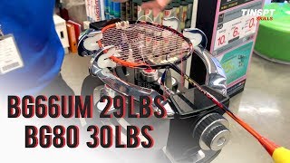 YONEX ASTROX 99 Stringing Badminton   BG66UM 29 lbs BG80 30 lbs