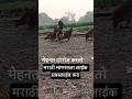 #सपोर्ट करा मराठी माणसाचे चैनल#लाईक सबस्क्राईब करा.