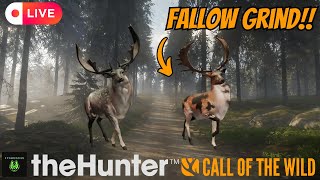Spawning Fallow Deer G1??!! | theHunter: Call of the Wild