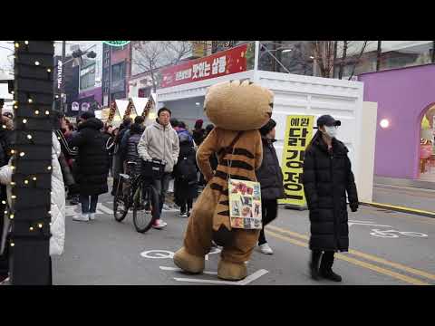 JHKTV] 신촌 명물고양이이때가 그리웠어 shin chon special <strong>cat</strong>  I missed this <strong>time</strong>