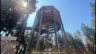 Tree Walk & Walking Around Lipno, Czechia