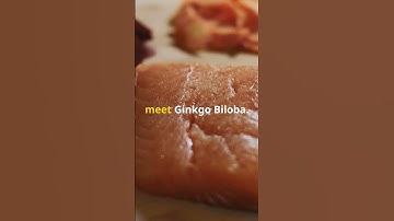 Supercharge Your Mind! Top 3 Brain Boosters