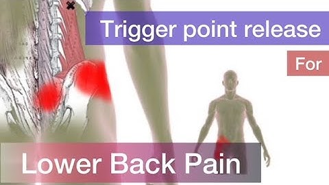 Trigger point release for lower back pain - Management of back pain with James Tang Fitness