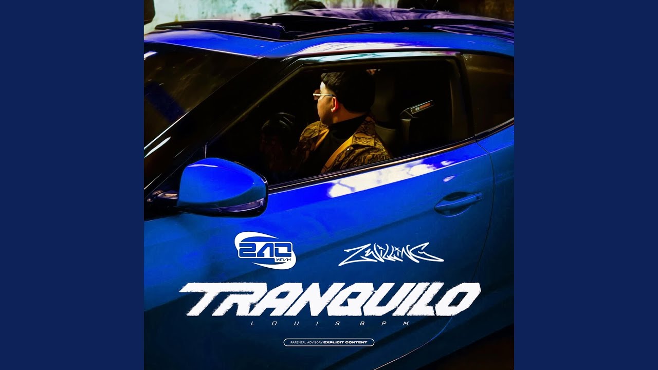 Download Tranquilo (zwilling. Remix) MP3