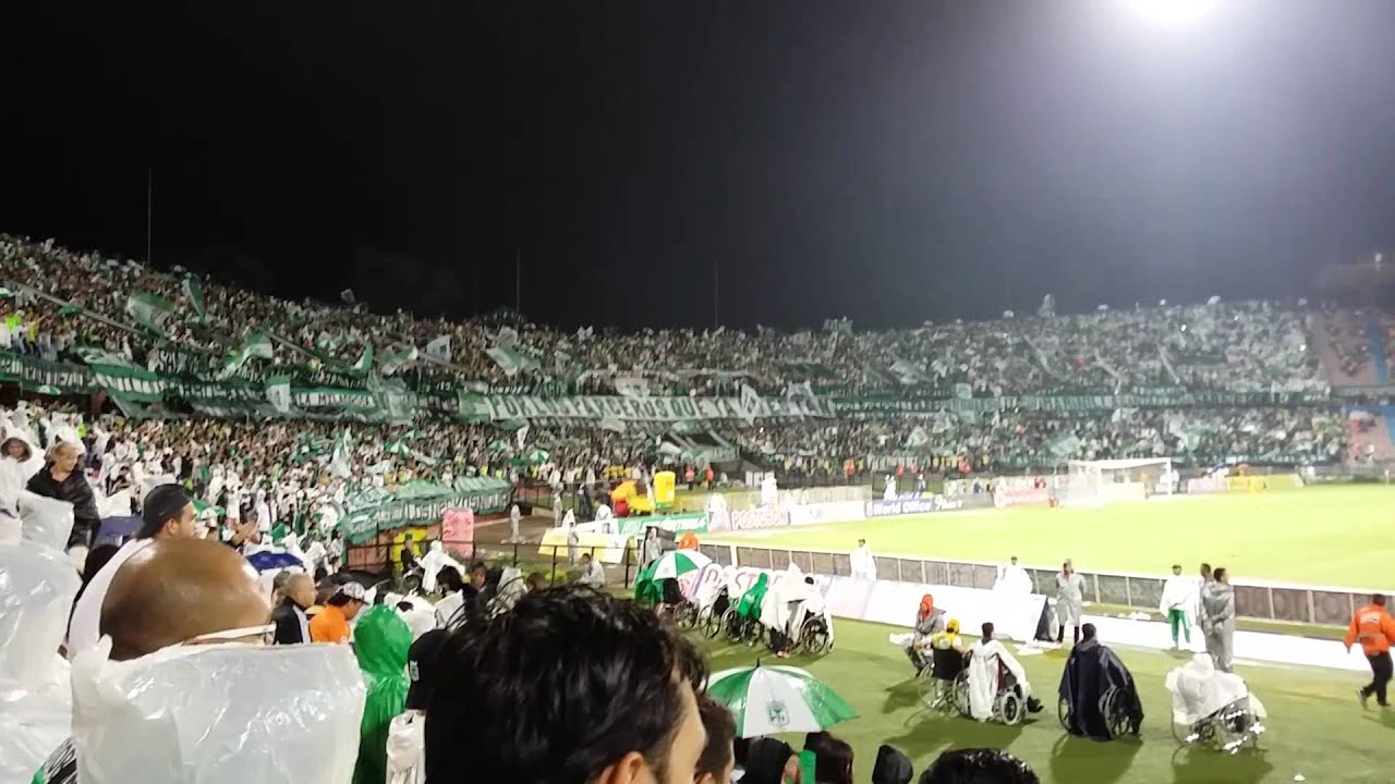 Verde Naci Verde Vivi Y Verde Morire www.youtube.com